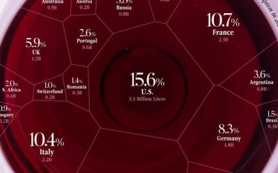 Which Countries Drink The Most Wine?