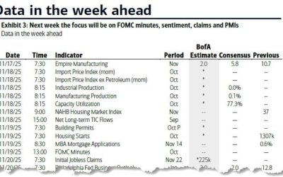 Key Events This Week: Macro Returns With Payrolls Thursday, FOMC Minutes And Speakers Galore, But Nvidia Earnings Matters Most