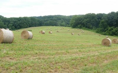 New MAGA Weapon: ‘Fight Tanks’ For Rural America