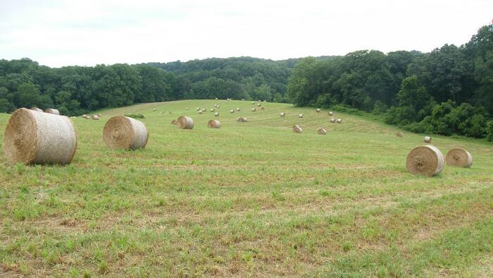 New MAGA Weapon: ‘Fight Tanks’ For Rural America