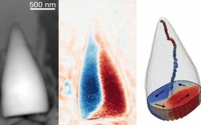 Stunned Scientists Discover ‘Magnetic’ Mystery Creature Inside Ancient Fossil