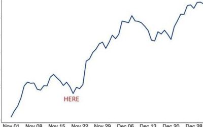 The AI Trade: Opportunity Or Warning?