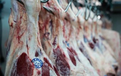 The Problem Of The Meatpackers