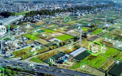 AI Will Not Make The Planned Society Viable