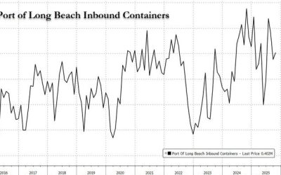 Container Imports Drop 17.6% In October At Busiest US Port