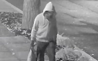 94% Match: New Clues Emerge In Jan. 6 Pipe Bomber Identity