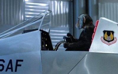 CDC Shuts Down Monkey Labs Amid Tuberculosis “Time Bomb” Fears