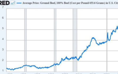 Democrats Know Their Constituents Can’t Read Charts. That’s Why…