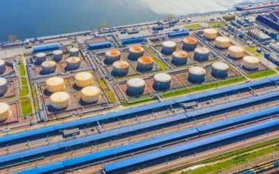 OPEC Maintains Bullish Oil Demand Outlook, IEA Trims Oil Glut Forecast