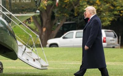 Trump Ditches ‘The Weave’, Delivers Sales Pitch Susie Wiles Asked For