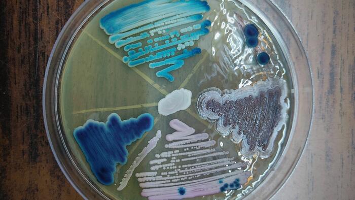 The Trump Administration’s Fight To Fund Scientists