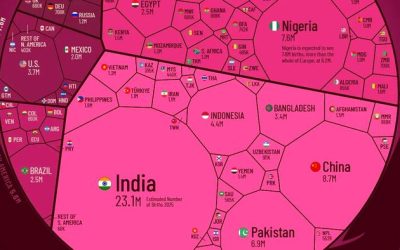 All Of The World’s Births In 2025 In One Giant Chart