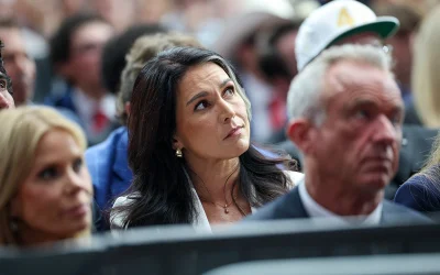 Gabbard blasts ‘deep state warmonger’ report claiming Putin seeks to invade Eastern Europe, warns NATO and EU pushing U.S. toward war with Russia