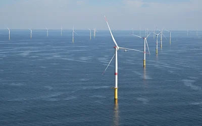 Trump admin. suspends leases of 5 major offshore wind projects citing national security concerns oan