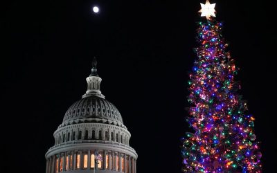 Capitol Christmas tree ‘Silver Belle’ lights up the West Lawn in Washington, D.C. oan