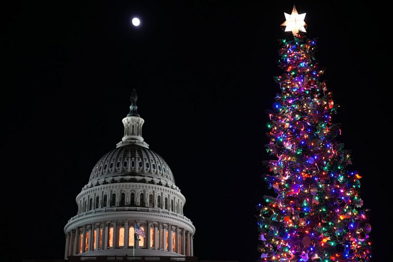 Capitol Christmas tree ‘Silver Belle’ lights up the West Lawn in Washington, D.C. oan