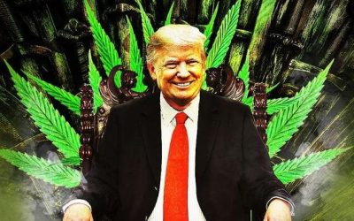 Ron Paul Praises Trump Taking A Step Toward Liberty