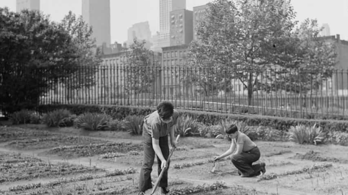 Back To Our Roots. If Baby Boomers Did It, So Can We…