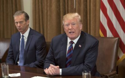 Thune’s Quiet Deal With Trump: Power Without The Drama