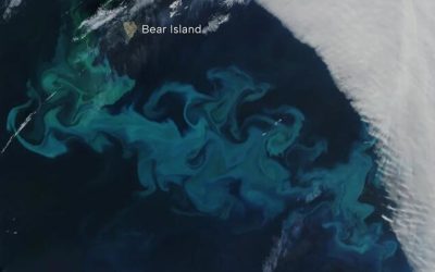 12 NASA Satellite Images That Tell The Story Of Earth In 2025