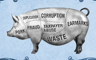 House This Week Passed $839 Billion Defense Bill Bursting With Pork