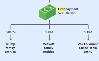 UAE Firm Bought 49% Of Trump-Linked Crypto Startup For $500M: WSJ