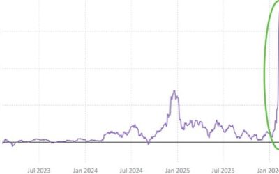 ‘Off The Charts’: Retail Is Buying-The-Dip In Software Stocks Like Never Before