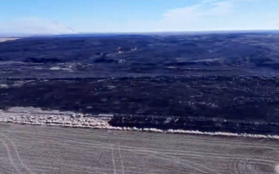 Oklahoma Governor Declares State Of Emergency As Fast-Moving Wildfires Scorch The Panhandle