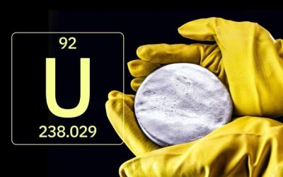 Nuclear Nuggets From Goldman Offers Snapshot Of Reactor Space, Uranium Prices, Cameco