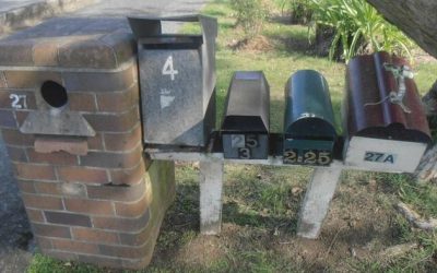 Young America’s Affordability Crisis Has Political Consequences