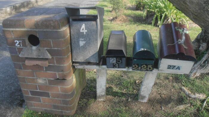 Young America’s Affordability Crisis Has Political Consequences