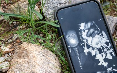 FBI recovers black glove near Nancy Guthrie residence, possibly linked to masked suspect caught on film oan