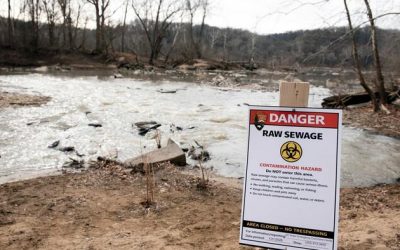 E. Coli At ‘Incredibly Dangerous Levels’ As DC Raw Sewage Spill Into Potomac May Be Largest In US History