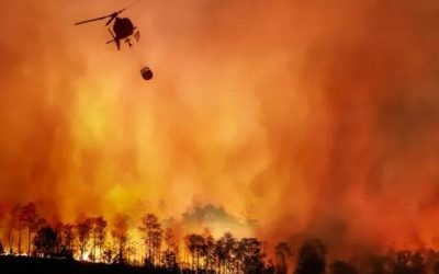 The Idiocracy That Is California Politics