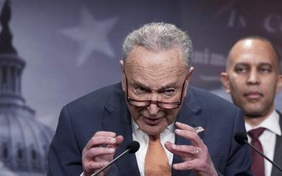 Democrats Just Gave Away The Real Reason They’re Fighting Immigration Enforcement