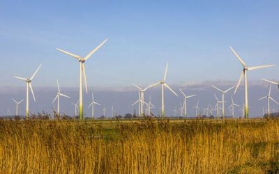 Germany’s Climate Policy Has Moved From Politics To The Courts… And The Economy Is Paying The Price