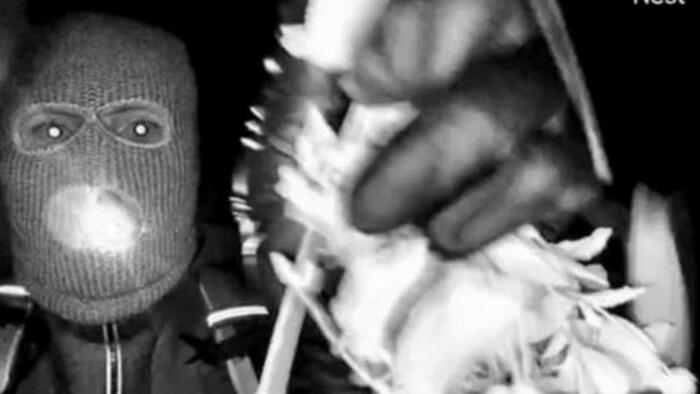 Man Detained For Questioning In Nancy Guthrie Disappearance