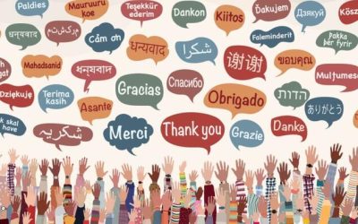 The Transatlantic Divide In Language Learning