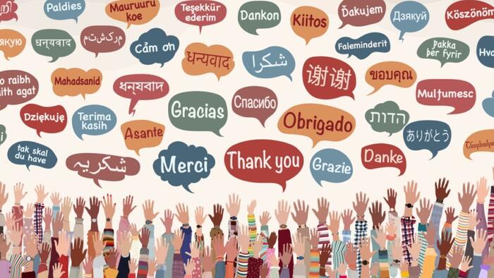 The Transatlantic Divide In Language Learning