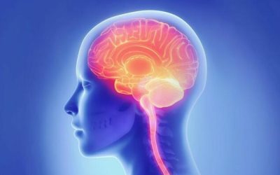 How A Bad Night’s Sleep Affects The Brain’s Cleaning System