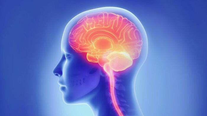 How A Bad Night’s Sleep Affects The Brain’s Cleaning System