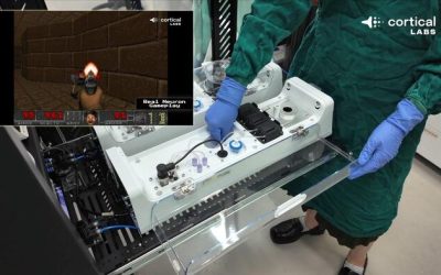 Scientists Train Lab-Grown Human Brain Cells To Play Doom