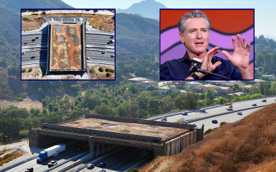 $114M Wildlife Crossing faces budget overruns and delay to late 2026 oan