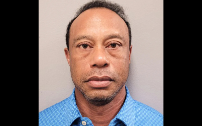 Tiger Woods mugshot released after DUI charge following car crash oan