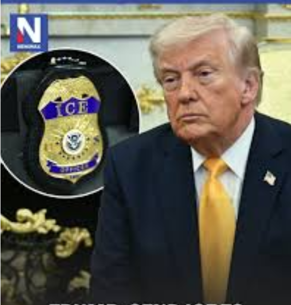 Trump: Send ICE to Airports If Dems Don’t Act