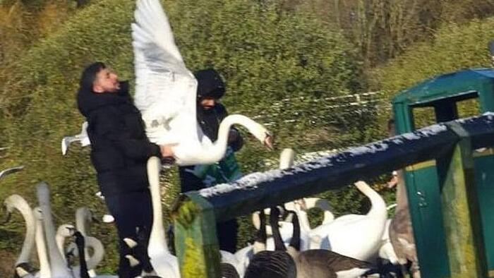 Migrants Filmed Catching And Butchering Swans, Ducks In UK And Ireland