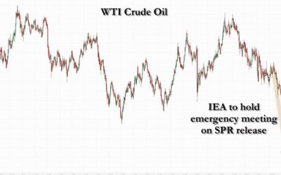 Stocks Jump, Oil Tumbles After IEA Calls Extraordinary Meeting To Decide On SPR Release