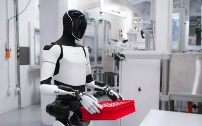 Tesla China CEO Says Shanghai Gigafactory Is “Golden Key” To Optimus Robot Production