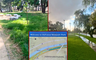 Child’s skull discovered at Long Beach park during Easter egg hunt oan