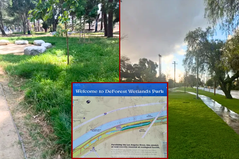 Child’s skull discovered at Long Beach park during Easter egg hunt oan